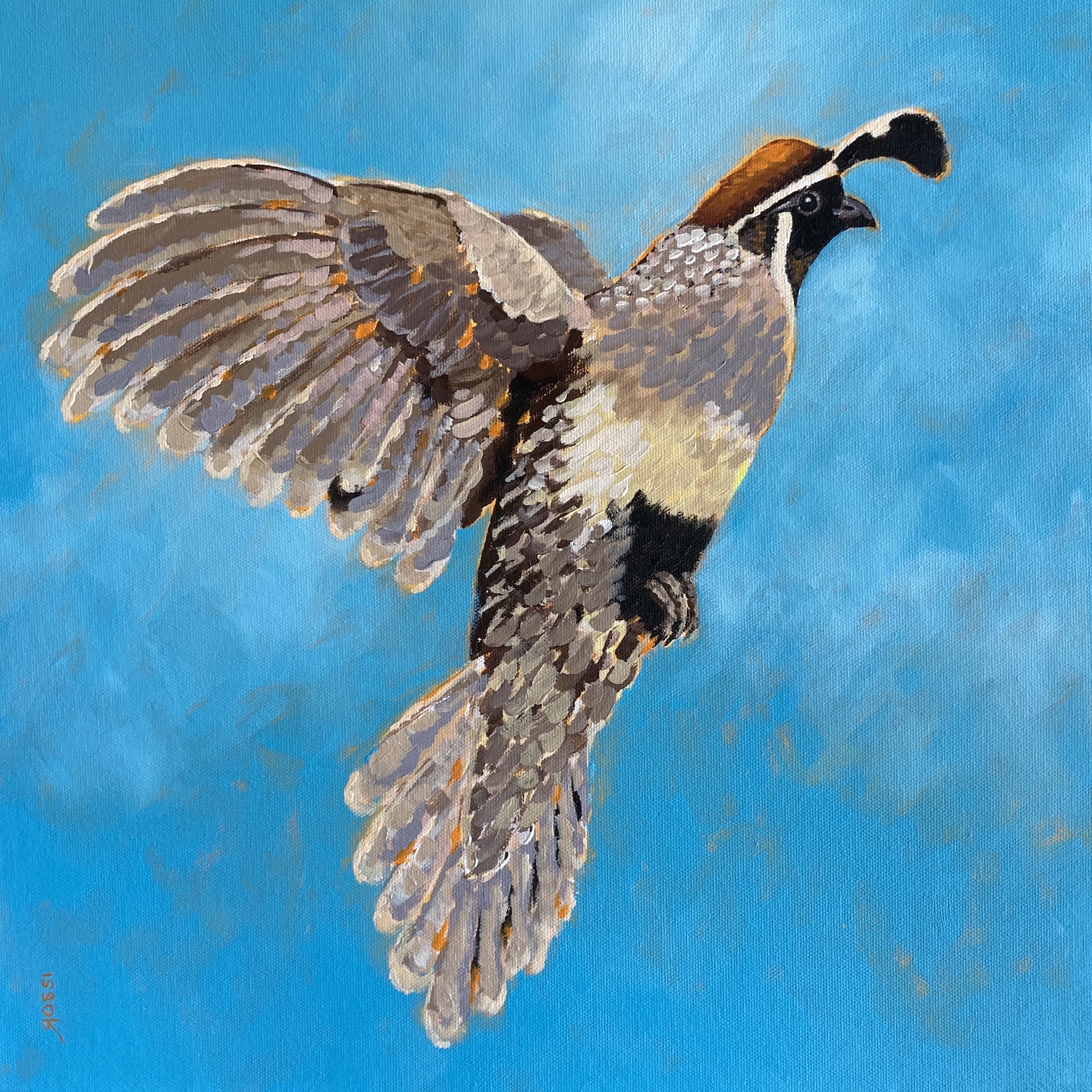 Flying California Quail painting by Mimi Rossi